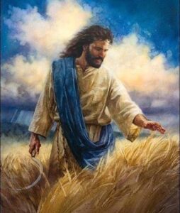 The Cause of Jesus what did I do for others this week