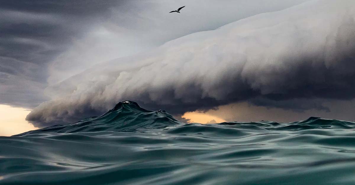 stormfront