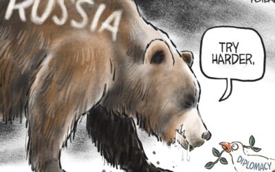 USED russian bear