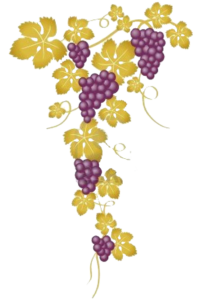 USED grapes in a bundle