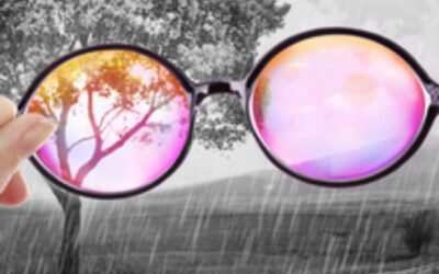 USED rose colored glasses