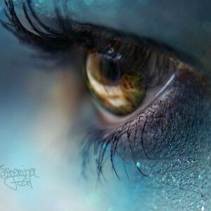 USED eye hath not seen