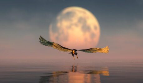 USED eagle and moon