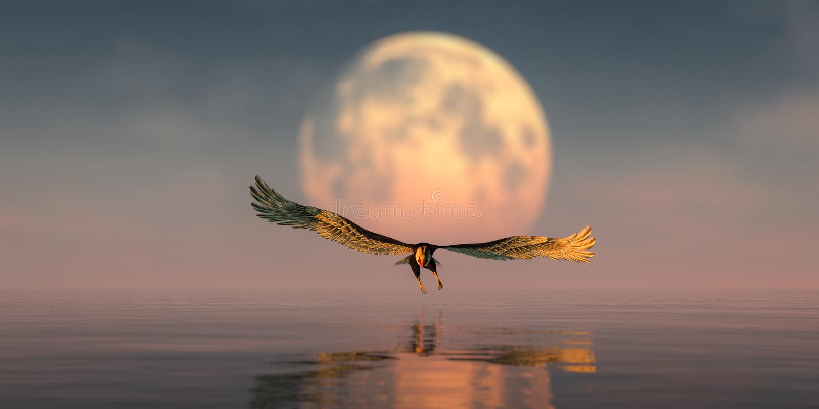 USED eagle and moon