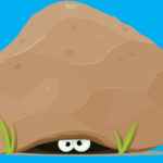 USED crab under rock