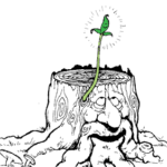 USED TheTree