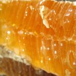 USED Honeycomb