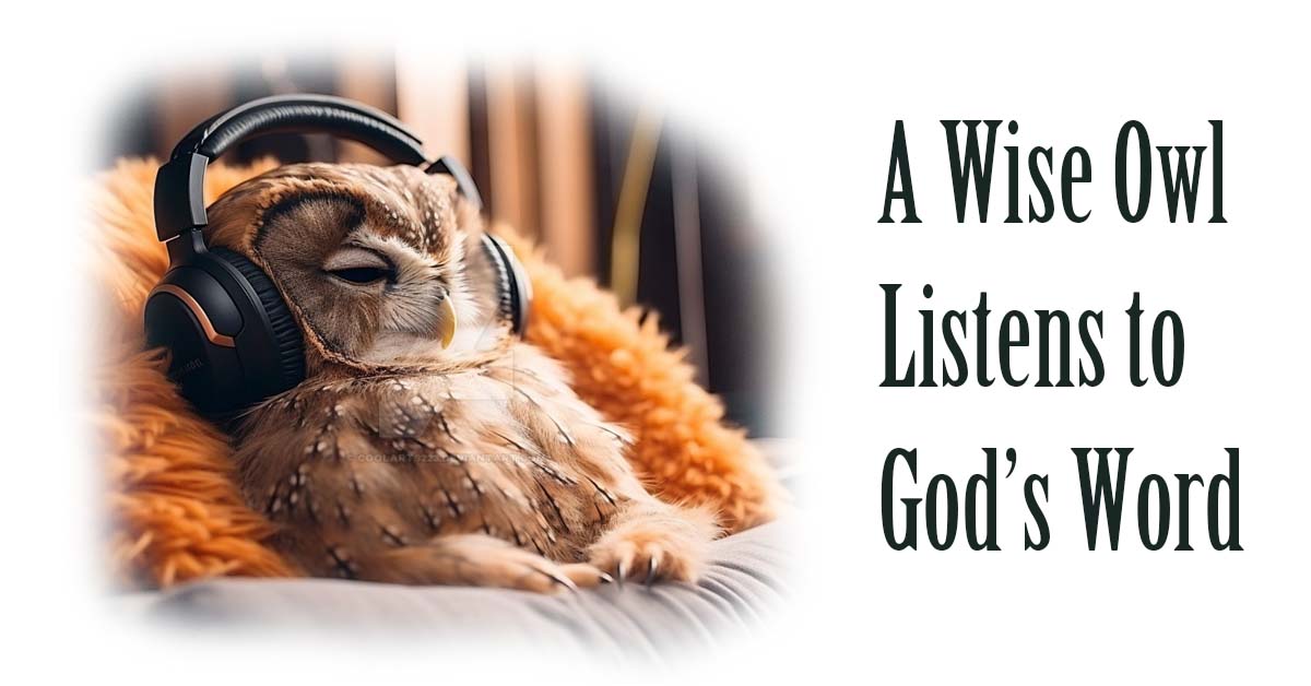 owlwithheadphones