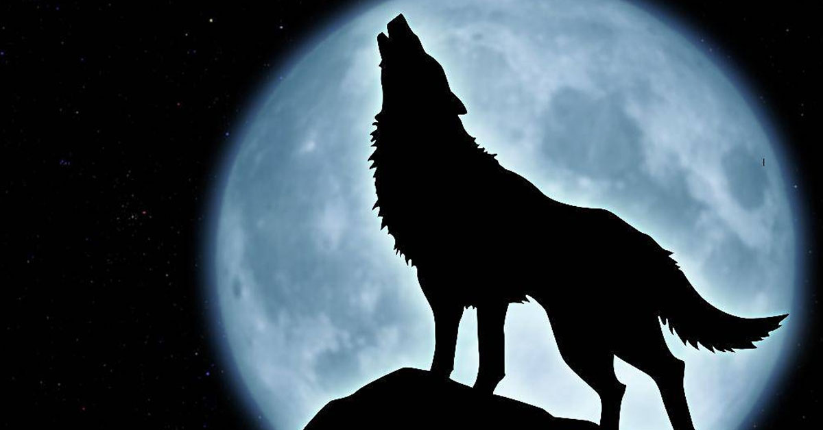 Satan a hit dog that howls
