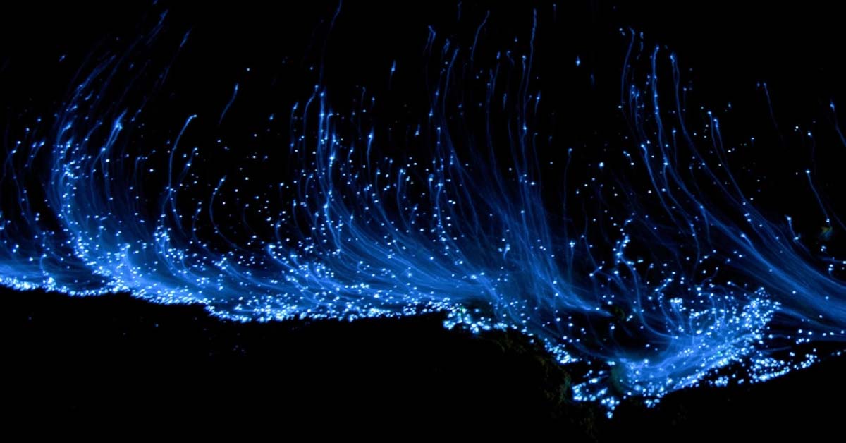 blue cosmic wave Blue angels
