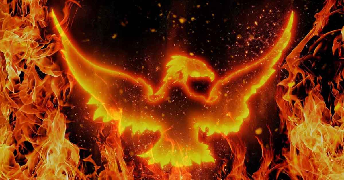 phoenix-bird