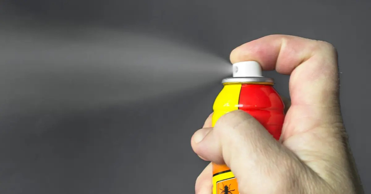 fly spray