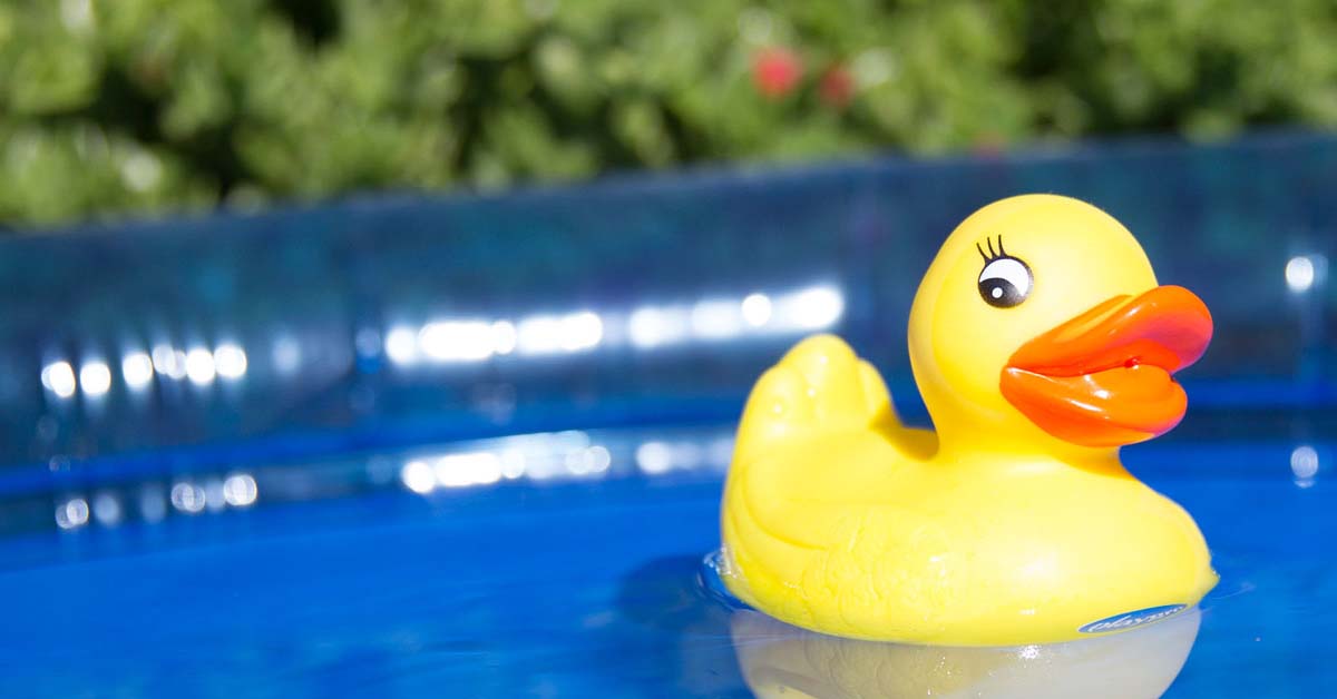 rubber duck