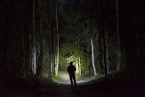 walking through the forest with a flashlight 