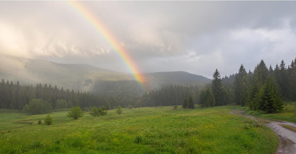 A rainbow dipping into a distant forest